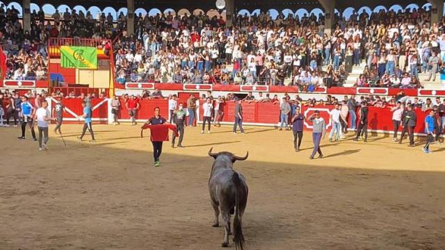 Imagen del coso de Pedrajas en la edición de 2022