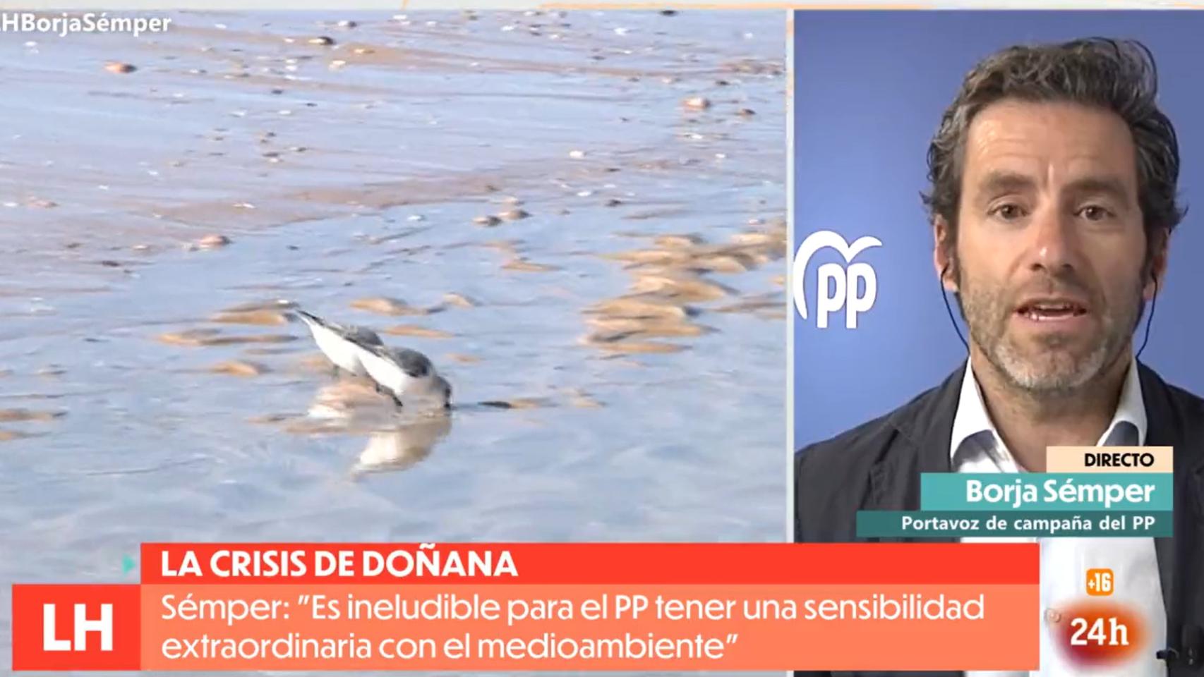 El vicesecretario de Cultura y Sociedad Abierta del PP, Borja Sémper, este jueves en TVE.