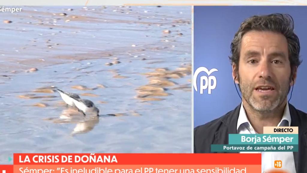 El vicesecretario de Cultura y Sociedad Abierta del PP, Borja Sémper, este jueves en TVE.