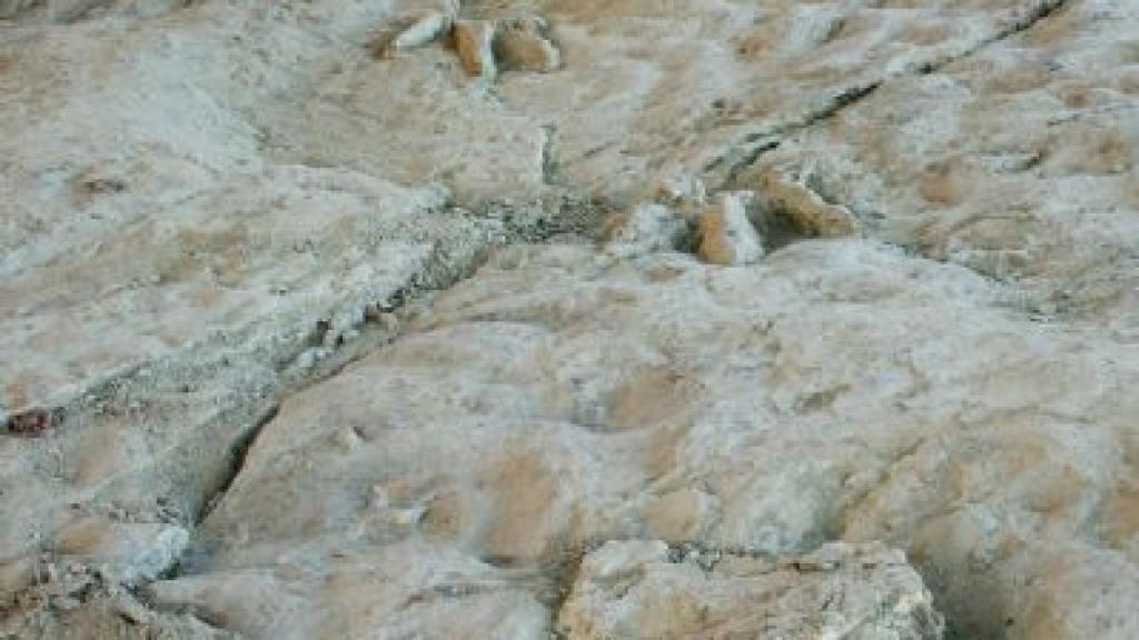 Imagen de una de las huellas conservadas en la ruta.