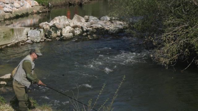 Pescador en el río Pisuerga