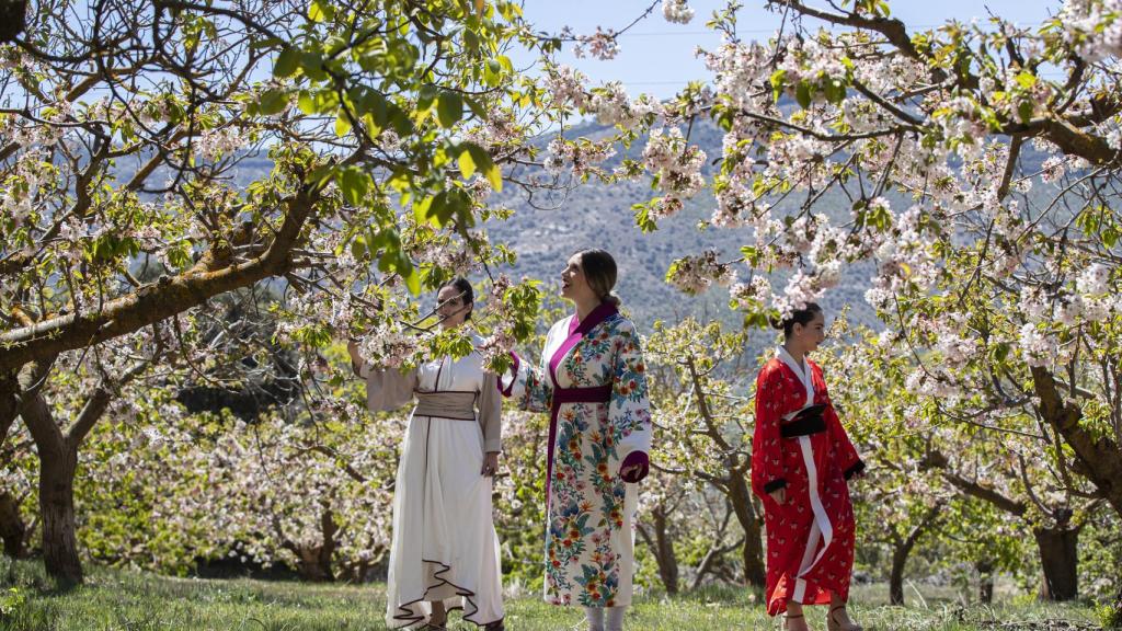 Unas vecinas del pueblo de Alfarnate vestidas con kimonos junto a unos cerezos.
