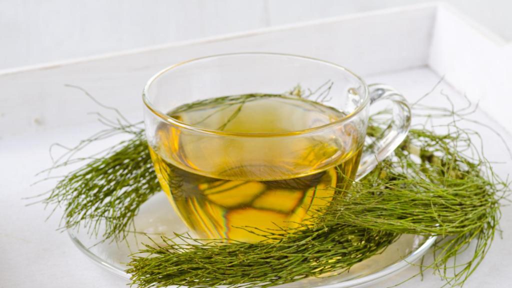 Infusión cola de caballo