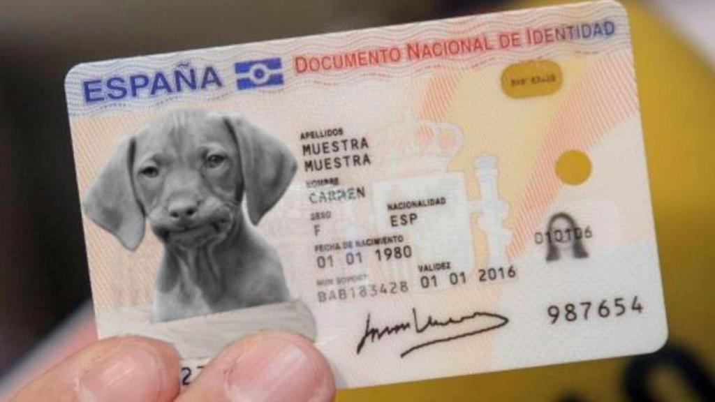 perros-gatos-dni-2022-abandono-animal