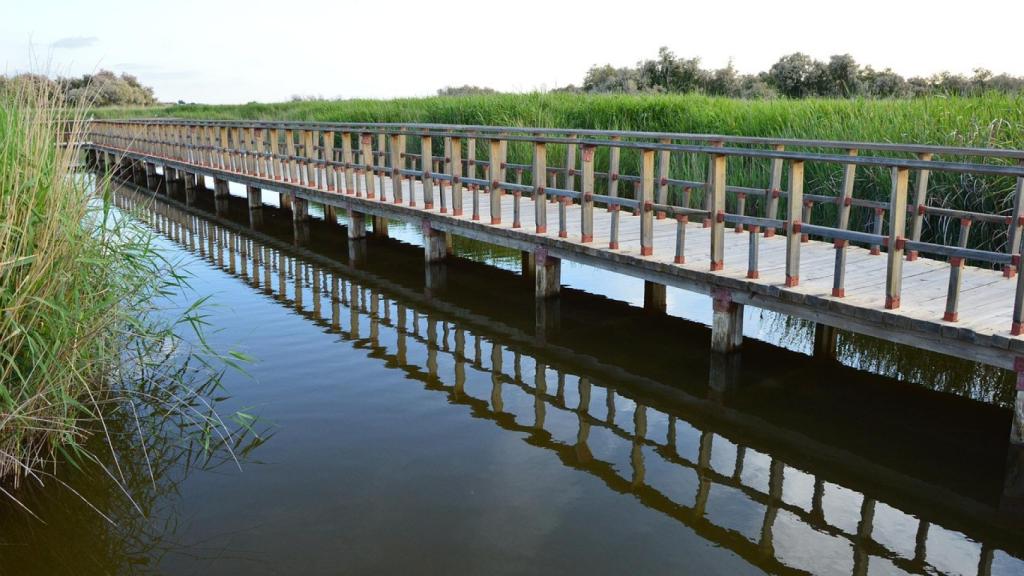Las Tablas de Daimiel.