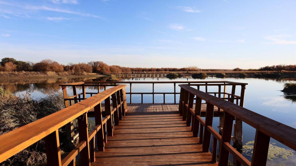 Tablas de Daimiel (Ciudad Real). Imagen de archivo