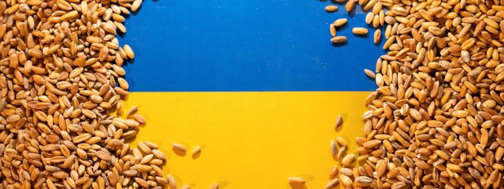 La bandera de Ucrania rodeada de granos de cereal.