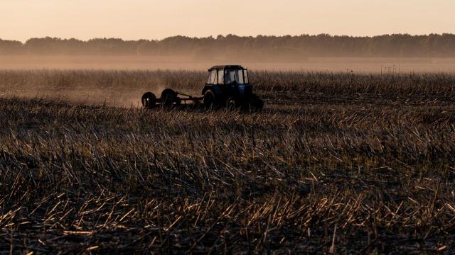 Un agricultor conduce su tractor en la región ucraniana de Chernihiv