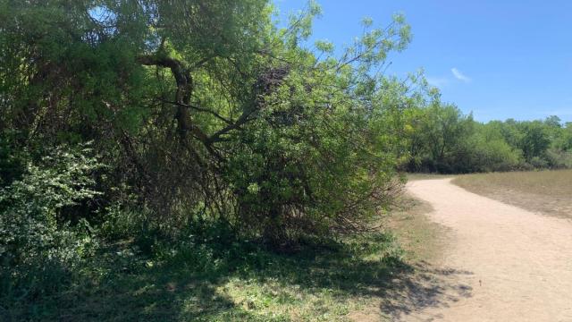 Entorno del camino del Ortigal, en Fuencarral-El Pardo, donde fue apuñalado un hombre de 49 el pasado lunes.