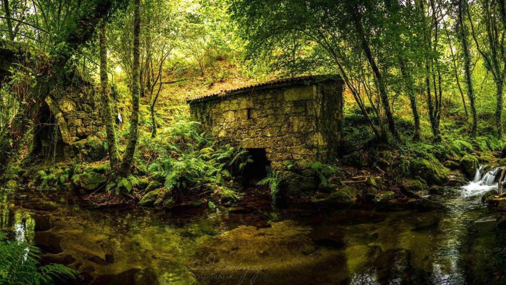Sendero del río Maneses. Foto: Concello de Campo Lameiro