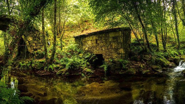 Sendero del río Maneses