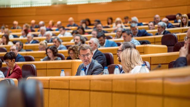 Alberto Núñez Feijóo, durante un debate en el Senado
