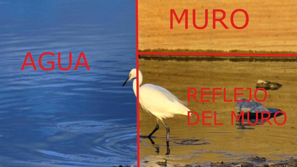 El efecto de la foto es fácil de comprender una vez que sabes dónde mirar