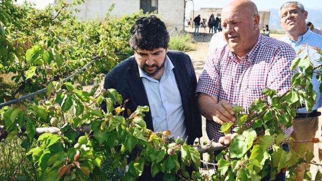 El presidente murciano, Fernando López Miras, este miércoles, junto a unos agricultores en Pliego, comprobando el estado de los almendros por la sequía.
