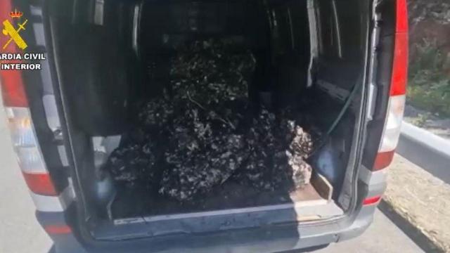 Incautan 800 kilos de mejilla en Fisterra (A Coruña) por un valor de más de 3.000 euros