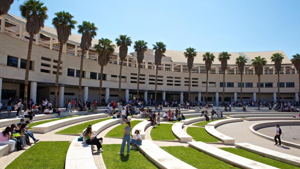 Universidad de Alicante.
