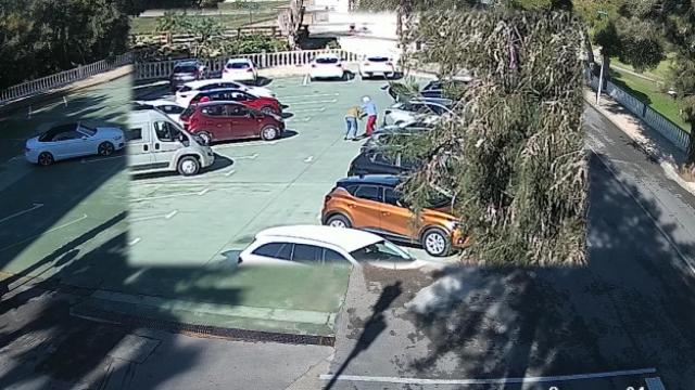 Vídeo de un parking donde la detenida intenta robar de manera violenta a un anciano.