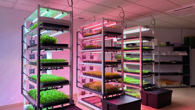 Cantábrica Agricultura Urbana