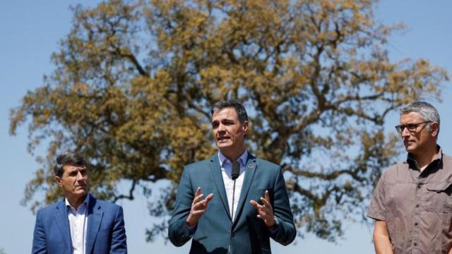 Pedro Sánchez, en Doñana.