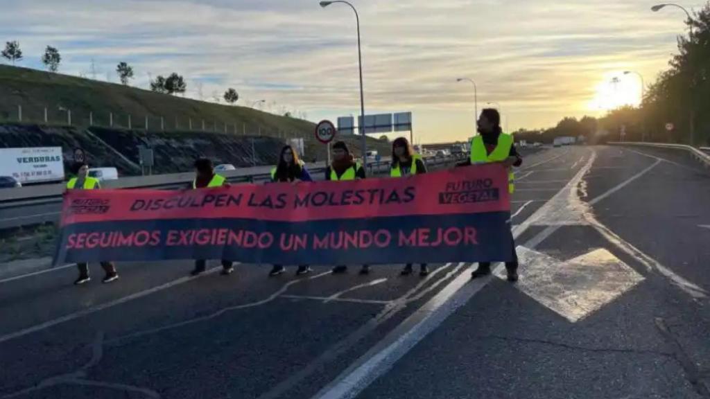 Los cuatro principales actos vandálicos de Futuro Vegetal: de Las Majas de Goya al Congreso