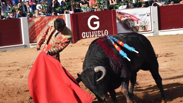 Corrida de Toros de Guijuelo el Día de Castilla y León