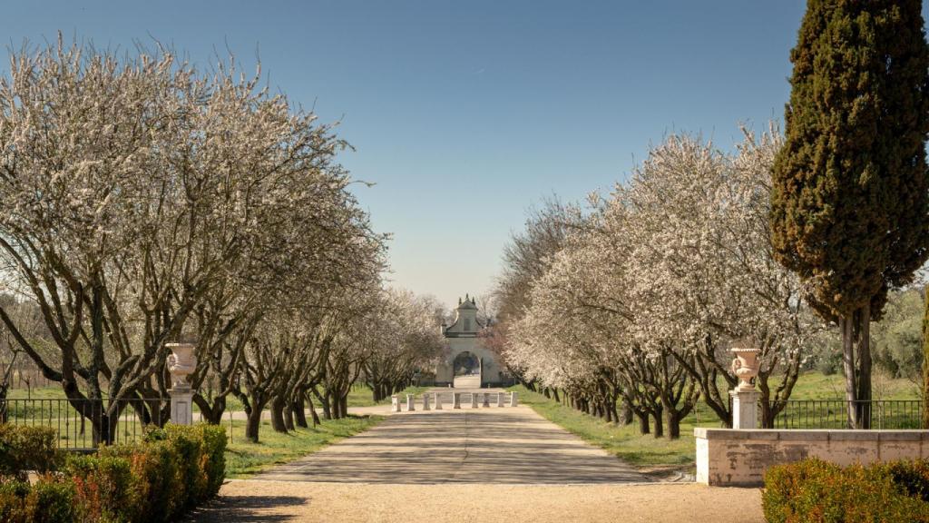 Quinta del Duque del Arco
