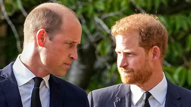 El príncipe Guillermo de Inglaterra y su hermano Harry.