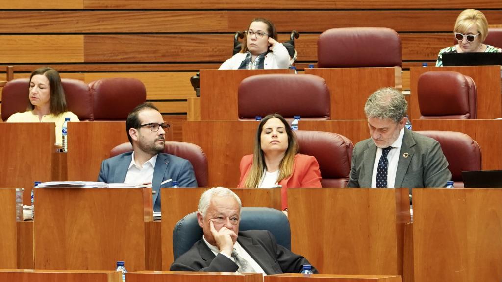 El consejero de Cultura, Gonzalo Santonja, en el pleno de las Cortes