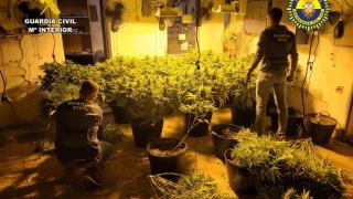 Agentes de la Guardia Civil dentro de la nave con la marihuana.