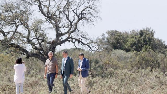 Pedro Sánchez visita Doñana.