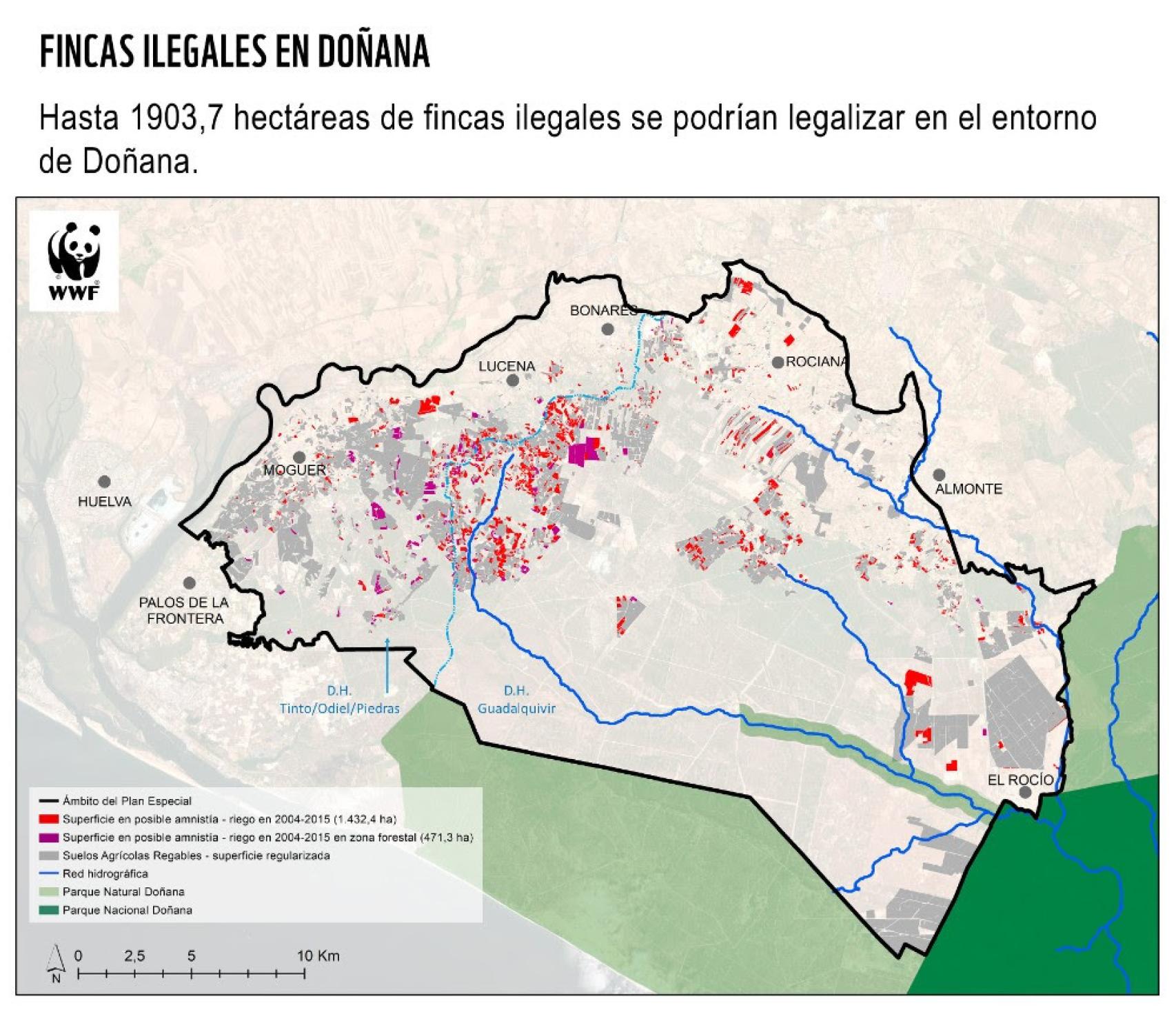 Fincas ilegales en Doñana.