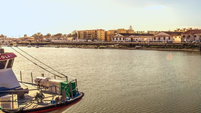 Vista de Gutiérrez Colosía desde el Guadalete