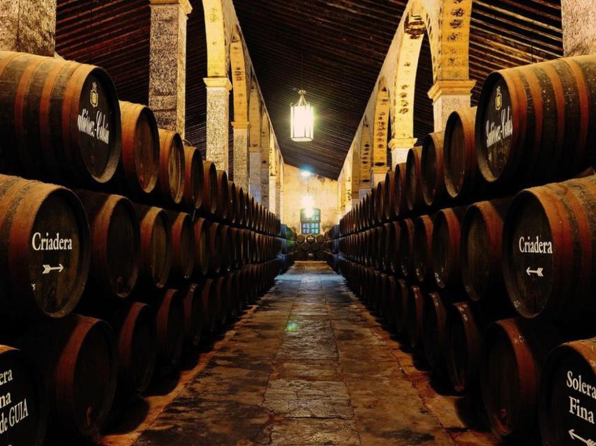 Criaderas y soleras en la bodega-catedral de Gutiérrez Colosía