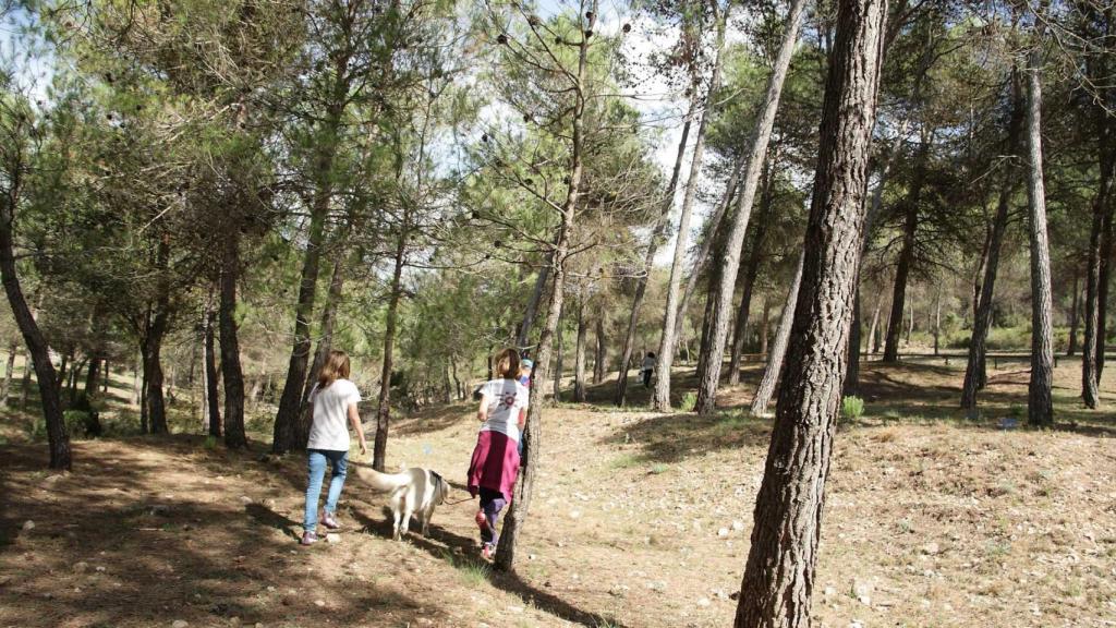 Dos personas pasean por un camino rural ubicado en Alfafara (Alicante).