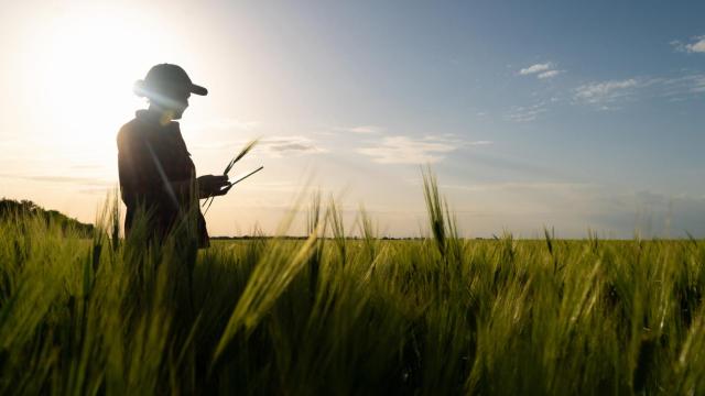 Imagen de archivo de un agricultor en el campo.