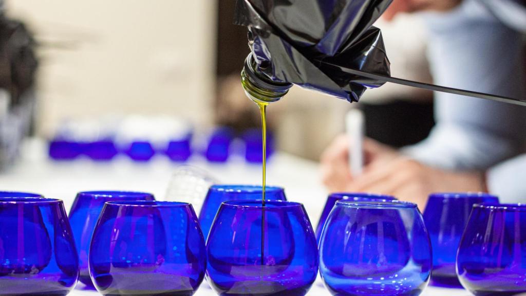Cata de aceites de oliva