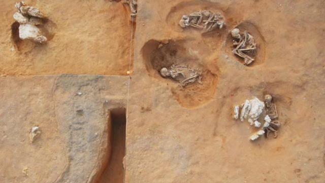 Varios de los individuos hallados en el campo de hockey de Cádiz. Foto: Vijande et al.