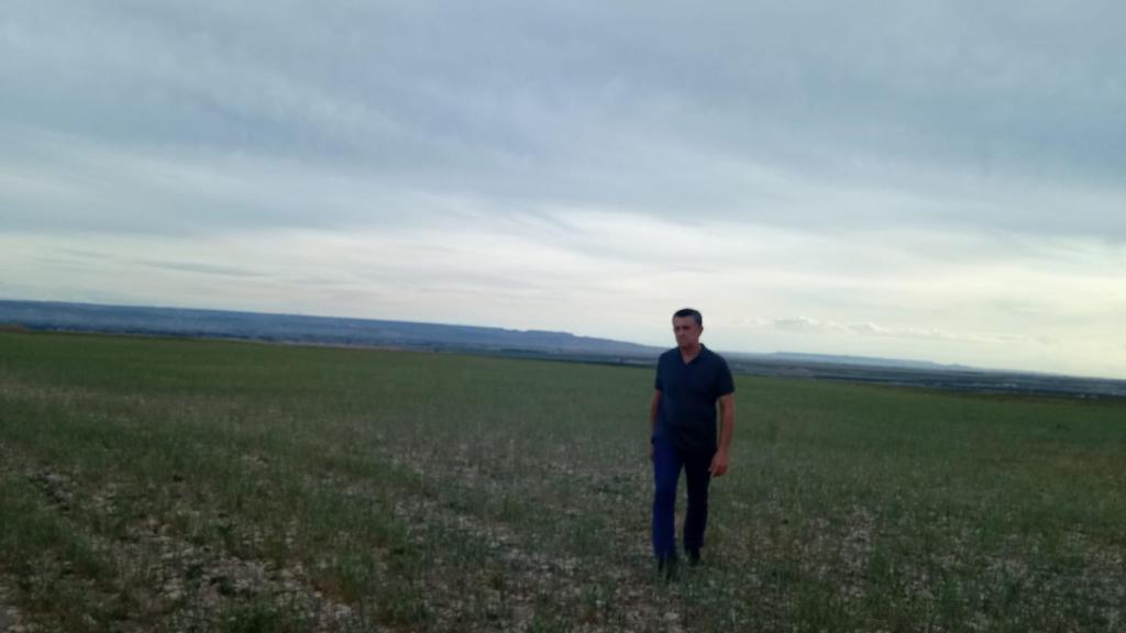 Javier Fatás camina por un campo cosechado