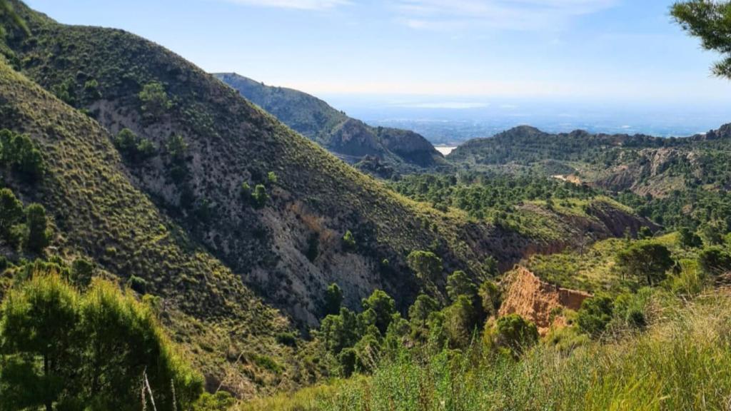 Vistas desde el Parque de Montaña de San Cayetano en Crevillente.