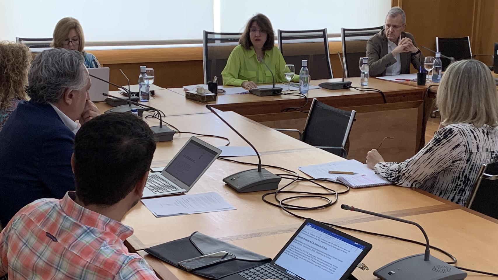 La rectora de la UA, Amparo Navarro, durante la lectura de su informe en el Consejo de Gobierno donde se ha dado a conocer esta novedad.