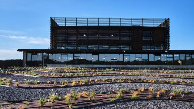 Blancos atlánticos, el nuevo objetivo de las grandes bodegas