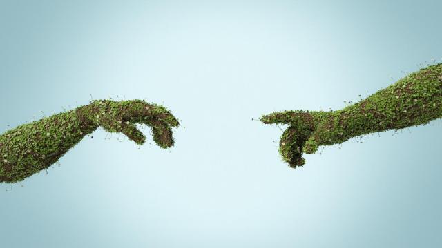 A propósito del propósito y de su impacto transformador