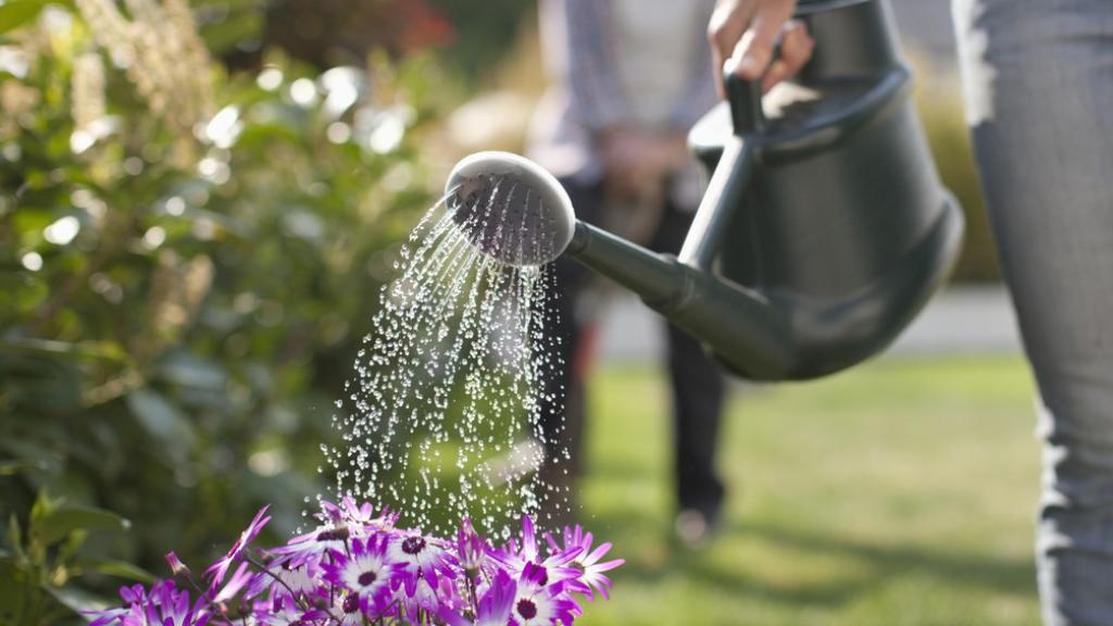 Una mujer regando su jardín con flores.