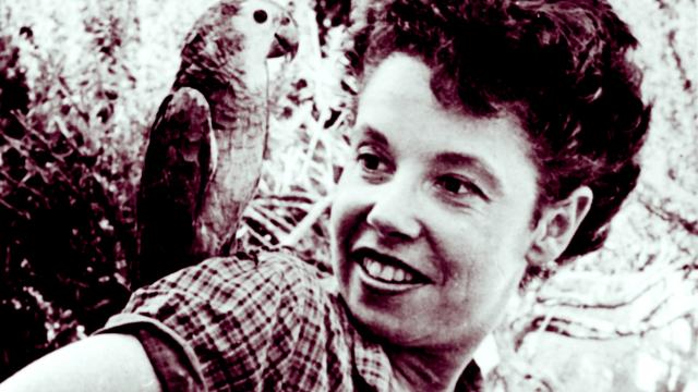 Jane Bowles. Foto: Rodrigo Rey Rosa