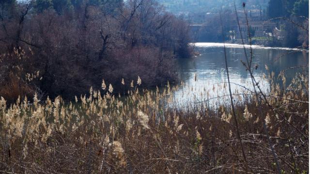 Ribera e islas del Tajo a su paso por Toledo, hábitat natural necesitado de inclusión en la Red Natura 2000.Foto: A. Zárate