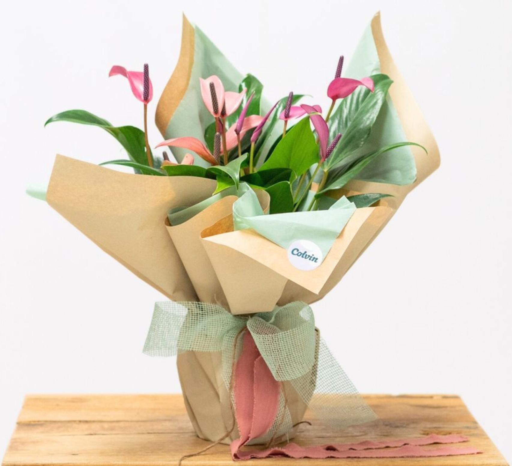 Un ramo de lilas Anthurium.