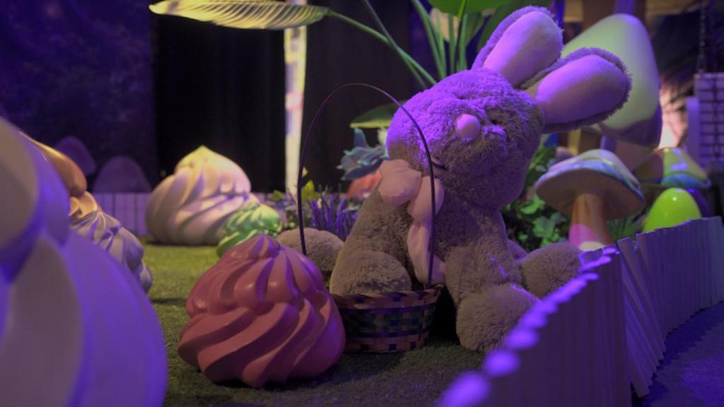 Un conejo en el bosque de las chuches.