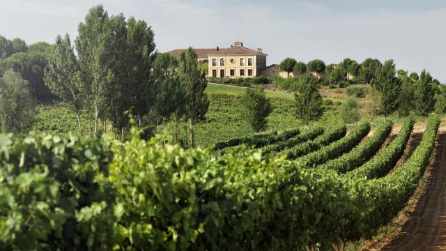El vino que le ha dado una vuelta al concepto de Ribera