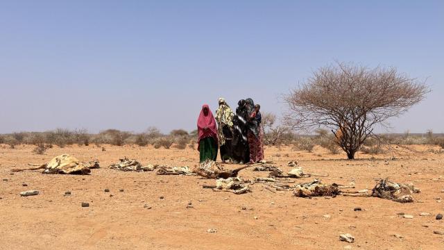 Un grupo de personas en mitad de la tierra árida. World Vision