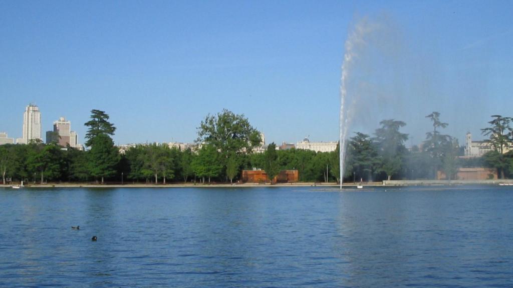 Los extraños objetos que sacaron del lago de la Casa de Campo la última vez que lo vaciaron.
